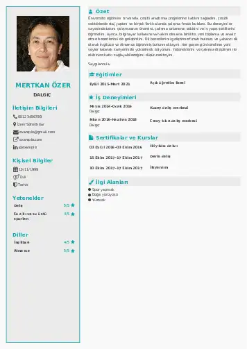 Dalgıç CV Örnekleri cv indir